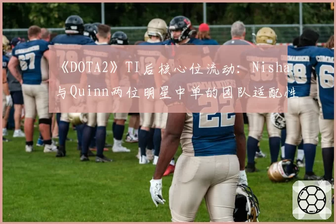 《DOTA2》TI后核心位流动:Nisha与Quinn两位明星中单的团队适配性前景对比