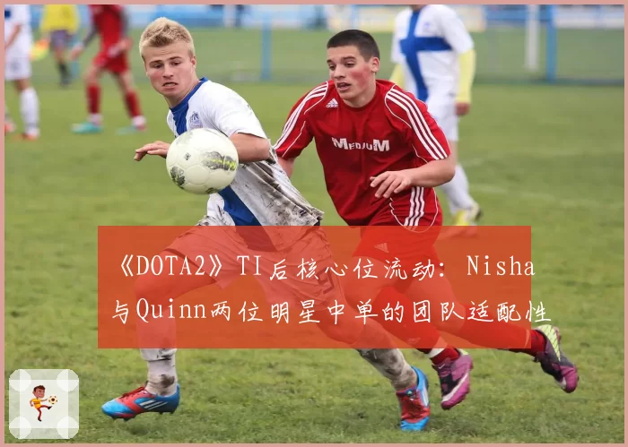 《DOTA2》TI后核心位流动:Nisha与Quinn两位明星中单的团队适配性前景对比