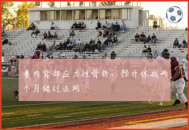 鲁内背部应力性骨折,预计休战两个月错过法网