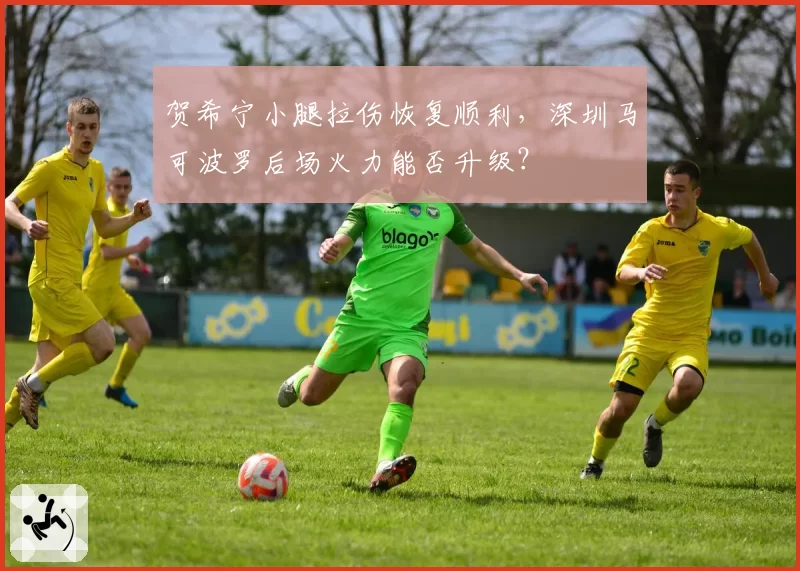 贺希宁小腿拉伤恢复顺利，深圳马可波罗后场火力能否升级？