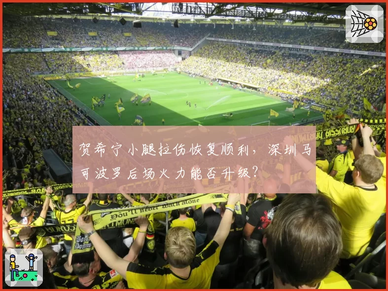 贺希宁小腿拉伤恢复顺利，深圳马可波罗后场火力能否升级？