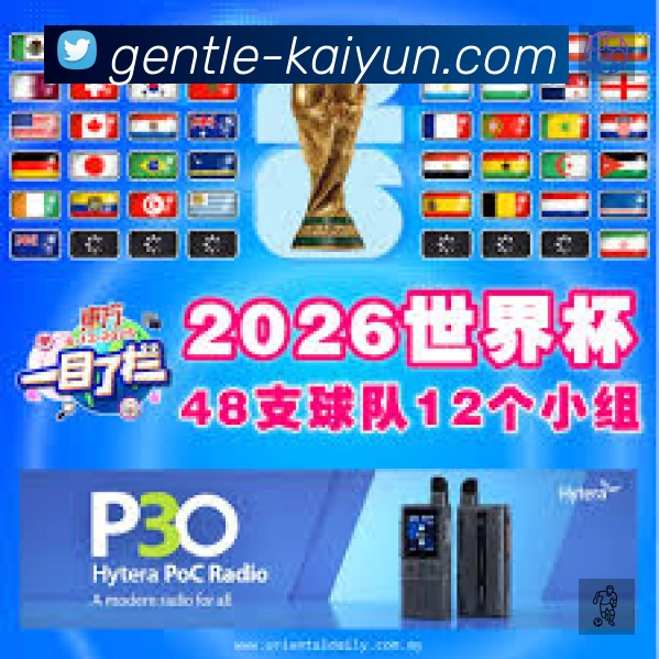 开云平台展示图